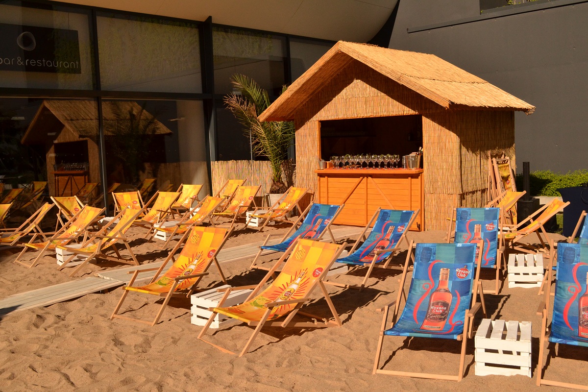 Owoce morza na plaży w centrum Wrocławia