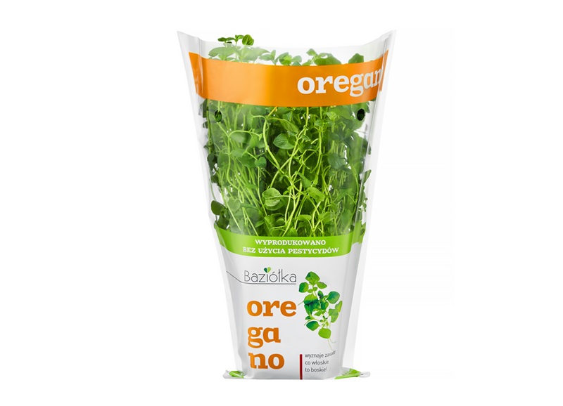 Oregano od Baziółka