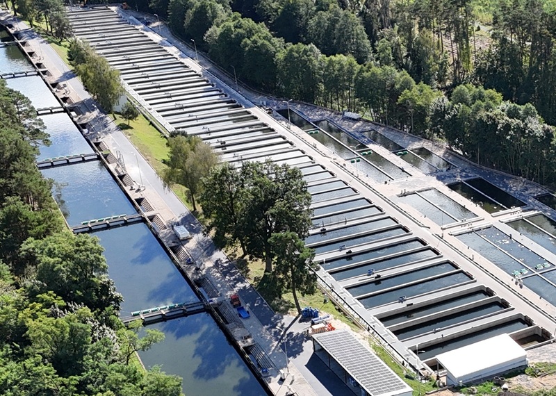 Warsztaty dla HoReCa: Jesiotr u źródła